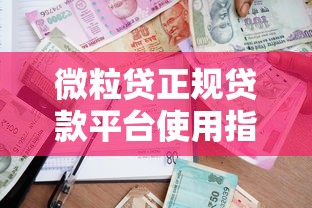 微粒贷正规贷款平台使用指南：安全借贷与灵活还款全解析