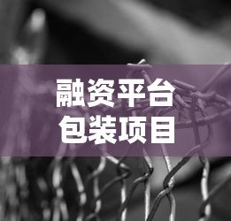 融资平台包装项目贷款全解析：如何安全撬动资金杠杆