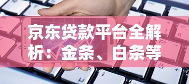 京东贷款平台全解析：金条、白条等产品对比及使用指南