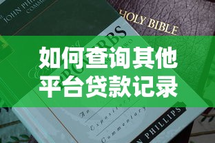 如何查询其他平台贷款记录？这份指南教你全面排查