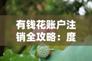 有钱花账户注销全攻略：度小满金融账号永久关闭指南
