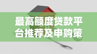 最高额度贷款平台推荐及申购策略指南