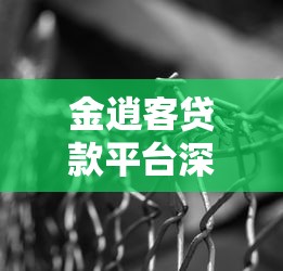 金逍客贷款平台深度测评：如何安全高效解决资金难题