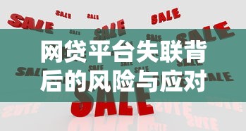 网贷平台失联背后的风险与应对策略