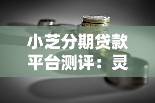 小芝分期贷款平台测评：灵活理财与风险把控全解析
