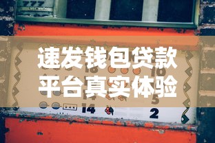 速发钱包贷款平台真实体验：贷款理财的风险与机会