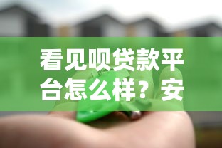 看见呗贷款平台怎么样？安全吗？一文看懂贷款流程与风险