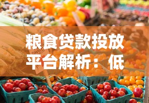 粮食贷款投放平台解析：低息融资如何撬动农业理财