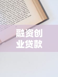 融资创业贷款平台全攻略：从申请到还款的理财技巧
