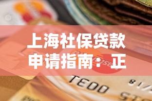 上海社保贷款申请指南：正规平台选择与实操攻略