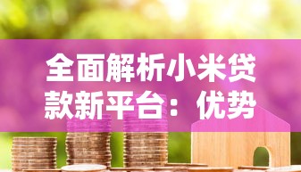 全面解析小米贷款新平台：优势、流程与避坑指南