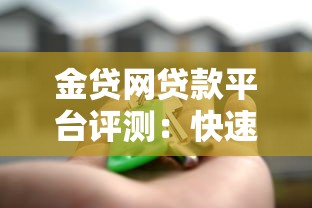 金贷网贷款平台评测：快速放款与风险管控解析