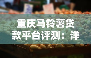 重庆马铃薯贷款平台评测：洋芋也能撬动资金杠杆？