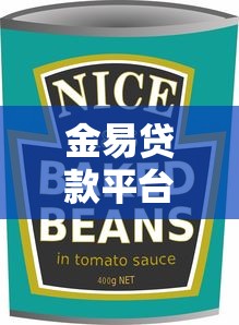 金易贷款平台全解析：产品类型与使用避坑指南