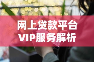 网上贷款平台VIP服务解析：如何选择安全高效的贷款理财方案
