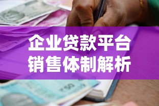企业贷款平台销售体制解析：产品设计、团队协作与风险把控
