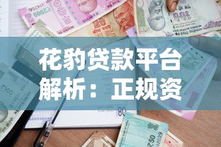 花豹贷款平台解析：正规资质与灵活借款全指南