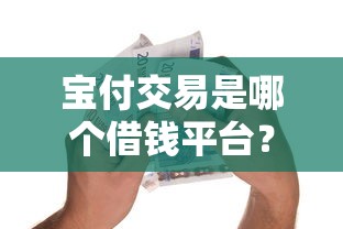宝付交易是哪个借钱平台？3分钟搞清支付和借款的区别