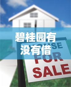 碧桂园有没有借钱的平台？真实情况大揭秘！