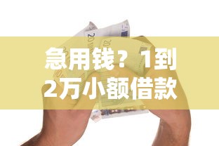 急用钱？1到2万小额借款平台这样选更靠谱！