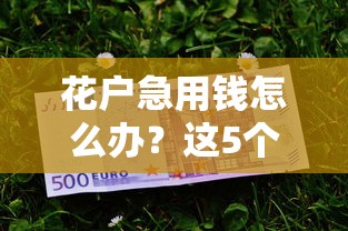 花户急用钱怎么办？这5个平台审核宽松到账快！