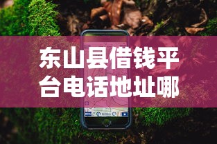 东山县借钱平台电话地址哪里查？这份指南收好