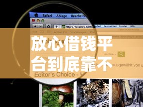 放心借钱平台到底靠不靠谱?这几点必须查清楚! 放心借钱平台到底靠不靠谱?这几点必须查清楚!