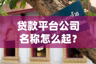 贷款平台公司名称怎么起？手把手教你避坑指南