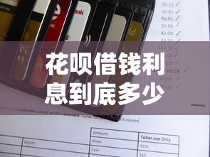 建行审批二十天被拒：试试这五个综合评分不足也能放款的平台