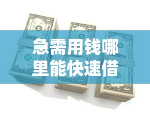 急需用钱哪里能快速借到？这5个平台审核快、到账稳！