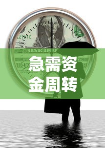 急需资金周转？这几个大平台循环贷随借随还超灵活