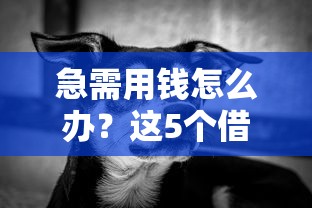 急需用钱怎么办？这5个借钱借一会的平台真能解燃眉之急！