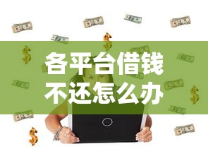 各平台借钱不还怎么办？这些处理办法和后果必看！