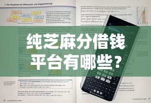 纯芝麻分借钱平台有哪些？这10个免审核、秒到账，实测推荐！
