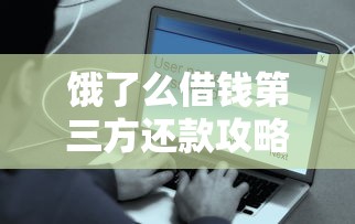 网花能下款的大额口子：罗列5个不审核直接下款的口子