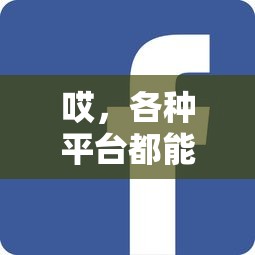 哎，各种平台都能借钱吗？这几点不注意小心被坑！