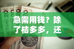 急需用钱？除了桔多多，还有哪些正规平台值得选？