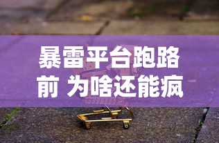 暴雷平台跑路前 为啥还能疯狂放贷？