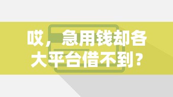 哎，急用钱却各大平台借不到？试试这些应急攻略！