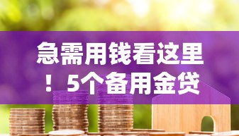 急需用钱看这里！5个备用金贷款平台真实测评