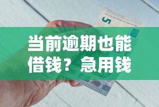 当前逾期也能借钱？急用钱必看！这5个平台或许能帮到你