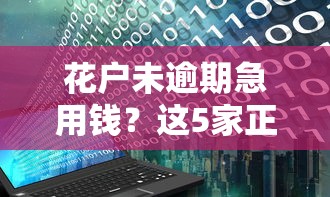 花户未逾期急用钱？这5家正规低息平台还能下款