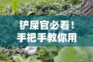 铲屎官必看！手把手教你用宠物相亲平台搞定贷款难题