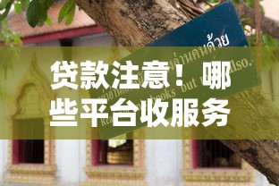 征信有个呆账可以申请贷款吗：罗列五个714网贷平台大全