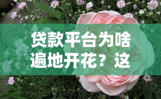 贷款平台为啥遍地开花？这3个原因终于说透了！