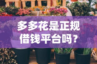 多多花是正规借钱平台吗？这几点你一定要看清楚！