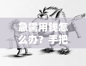 急需用钱怎么办？手把手教你从靠谱平台借到钱的正确姿势