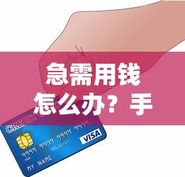 急需用钱怎么办？手把手教你在平台借钱提现的干货