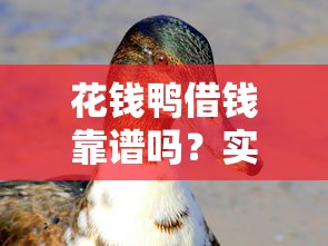 花钱鸭借钱靠谱吗？实测扒一扒平台正规性！