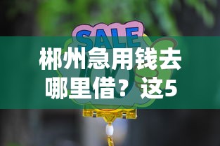 郴州急用钱去哪里借？这5家正规借贷公司最靠谱